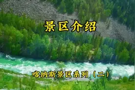 乘坐喀纳斯景区区间车，车上景区介绍很详细。下午2点20分开车