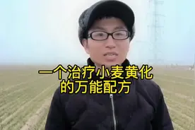 太厉害了，一个治疗小麦黄化的万能配方，花钱不多，效果显著视频封面