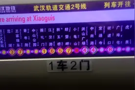 武汉地铁2号线樱花专列B01小龟山→积玉桥车内POV视频封面