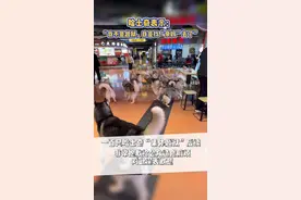 一百只哈士奇越狱事件后续，它们只是太想念“妈妈”了#哈士奇 #狗狗 #我家哈士奇 #抖音萌宠 #宠萌视频封面