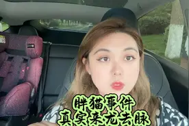 胖猫事件来龙去脉 #警方通报胖猫跳江事件 别说什么捞不捞视频封面
