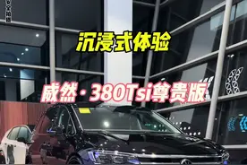 沉浸式体验大众威然380尊贵版#大众威然 #威然 #dou是好车 #上汽大众威然视频封面
