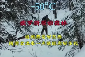 俄罗斯西伯利亚原始森林，遍地都是好东西，随便拿出一点就发财了视频封面