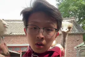 鸵鸟是可以上餐桌的 #我的乡村生活 #神奇动物在抖音 #返乡创业青年