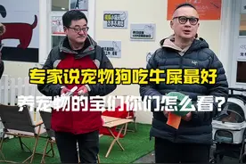 专家说宠物狗吃牛屎容易消化，这是真的吗？你们怎么看？#宠物 #专家 #牛屎 #托儿所 #抖音萌宠