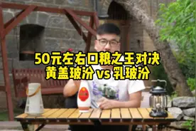 50元价格段的汾酒哪个更值得买？#汾酒 #黄盖汾 #黄盖波汾视频封面