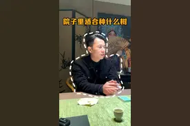 庭院适合种什么树#宋式美学 #庭院设计视频封面