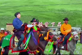 【丁真劝学】我平常只爱读书！知识学爆的一天  #丁真 #学习视频封面