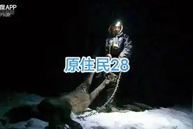 28土著猎人诱捕河狸，养活一家9口 #荒野求生 土著猎人诱捕河狸