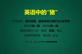 第137期|英语中的“猪”
Swine, Pigs and Hogs视频封面
