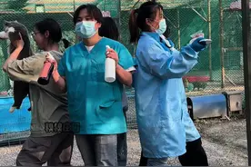 像你这样的大师手法一定很厉害#糗糗庄园 #绝育
