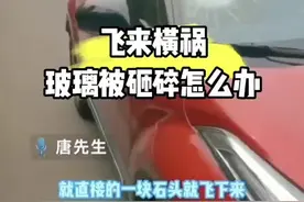 高速上开车时，车玻璃突然被砸破了，该找谁赔？#高速行车安全 #新手上路 #汽车知识 #驾驶技巧 #带你懂车视频封面