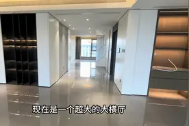 北龙湖南岸，建业海马九如府，精装修顶复产品，一次未住过#豪宅视频封面