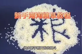 斗草海淘教程  #知识分享 #干货分享  #烟丝 #斗粮 #烟草视频封面