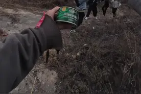 没这脑子还非要吃这碗饭。#丧尸 #末日生存 #牛肉罐头视频封面