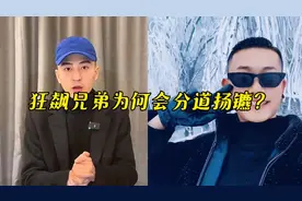 狂飙兄弟为何分道扬镳#大型纪录片 #狂飙兄弟 #巴比龙 #灿龙视频封面