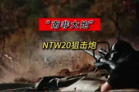 “南非大炮”恐怖威力！#武器视频封面