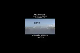 不的不说南昌的基建越来越好了，九龙湖要搞产业必须要把三清山大道南延丰城，320国道改线，九龙大道再南延，明月山大道南延，枫生快速路打通加宽，复兴大道西延哥东接九🐲湖大桥，赣江南大道再南延，地铁二号线再南延，地铁12号线开工等等项目，为南昌未来科学城打下基础视频封面