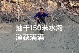 小伙抽干150米河沟抓鱼，仅花70元油钱，渔获满满三大盆#抓鱼视频封面