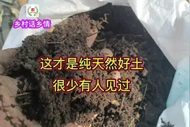 这才是纯天然腐殖土，见过的人不多，种菜养花啥肥料也不用