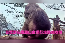 自驾游玩峨眉山金顶行走路线攻略#自驾游#床车自驾环中国边境游