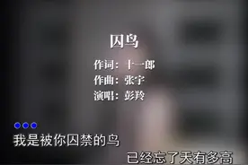 我像是一个你可有可无的影子，冷冷的看着你说谎的样子#囚鸟视频封面