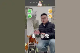 外表看着可爱萌哒哒的羊驼凳子，却是这种黑心棉胶合板制作的。#羊驼凳子 #黑心棉 #测评