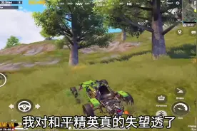 论和平精英现状 真的是太失望了#和平精英 #和平精英现状