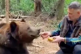 棕熊被困在垃圾堆里，男子拿来木棍让他爬上来，没想到棕熊会回来 #人与动物和谐共处 #神奇动物在抖音 #万物皆有灵性 #动物的迷惑行为 #野生动物零距离视频封面