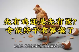到底是先有鸡还是先有蛋？专家终于给出了答案