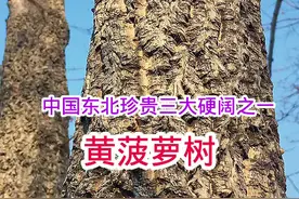 #知识前沿派对