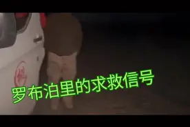 罗布泊里的求救信号...  #罗布泊 #无人区 #求救 #沙漠 #和田玉视频封面