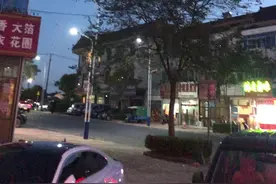成百上千的燕子低飞，感觉像疯掉了一样？这是地震还是暴雨的预兆？#燕子低飞 #燕子