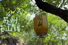苏州徒步 | 花山线   #森林氧吧 #苏州花山视频封面