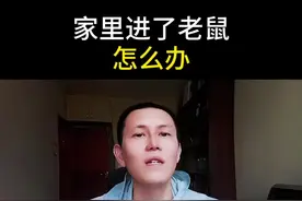 家里进了老鼠，怎么办？教你一招#灭鼠方法 #家有老鼠怎么办 #经验分享 #生活小常识 #抓老鼠 @DOU+小助手