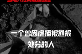 确认！事业编考生苏某某与虐猫受处分者系同一人！当地 当地人社局最新回应