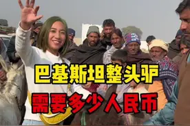 巴基斯坦整头驴，需要多少人民币#西域黑妞巴基斯坦友谊村 #巴基斯坦风土人情纪实 #记录国外真实生活 #巴基斯坦#抖音美食推荐官