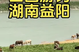 一个人开着车走到哪钓到哪 是不是每个钓鱼佬都向往的 #全国游钓 #户外 #钓鱼 #钓鱼王地狱猫视频封面