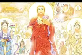 什么是 贪嗔痴慢疑视频封面