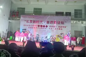 龙头村迎春节晚会。视频封面