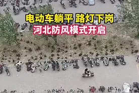 河北防风模式开启：电动车集体躺平、路灯下岗……#天气视频封面