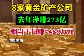 8家黄金矿产公司去年赚了273亿视频封面