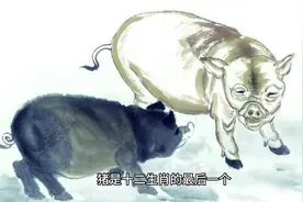 关于十二生肖猪的故事传说，生肖猪，晚上9-11时(即“亥时”)视频封面