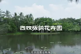 西双版纳热带花卉园带你认识各种奇异花果植物#花卉园宝藏打卡点视频封面