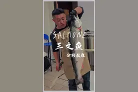 如果去切一整条的三文鱼 适合新手小白看的如何分割三文鱼。这条视频又慢又详细#杀鱼技术 #三文鱼 #刀工 #三文鱼刺身 #切鱼视频封面