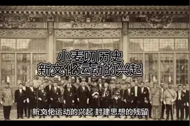 小麦叨历史，新文化运动的兴起#历史科普 #双11省学指南视频封面