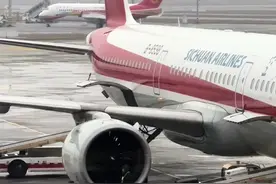 这行李托运也没网上说的那么暴力#行李托运 #内容启发搜索 #一起看飞机 #起飞🛫视频封面