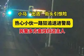 小马“出逃”！群众一路狂追送入警局 #身边暖警@襄城警事视频封面