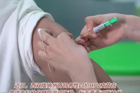 男性四价Hpv疫苗 开打#我爱西双版纳视频封面