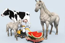 小马小牛找妈妈，工程车给动物送来水果食物 益智早教动画视频封面